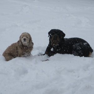 Meet your Posher, Helen
